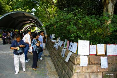 Прикрепленное изображение: 000xfaby.jpg